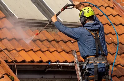 Démoussage et hydrofuge de toiture à Surzur